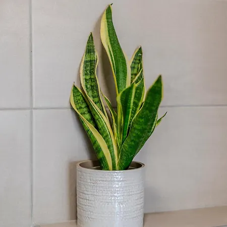 דירה Stamatia *