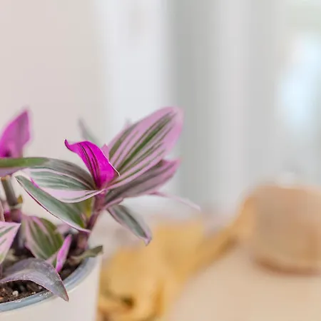 Lägenhet Stamatia Asprovalta